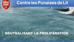 PROTECT EXPERT - Anti punaises de lit foudroyant - aérosol anti punaises de lit - diffusion automatique - action choc