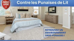 PROTECT EXPERT - Anti punaises de lit foudroyant - aérosol anti punaises de lit - diffusion automatique - action choc