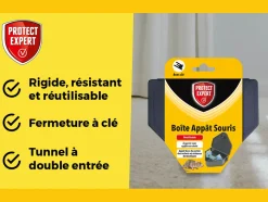 PROTECT EXPERT - Boitsou - boite appât souris - sécurisée avec clé de fermeture
