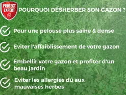 PROTECT EXPERT - Protect Expert désherbant concentré gazon 鈥², action localisée contre mauvaises herbes, avec bidon doseur