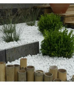 RACINE - Paillage minéral galet marbre blanc carrare 25-40mm, 10 sacs de 25 kg - f-pai008-10x25