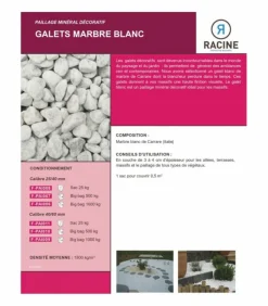 RACINE - Paillage minéral galet marbre blanc carrare 40-60mm, 10 sacs 25 kg - f-pai011-10x25
