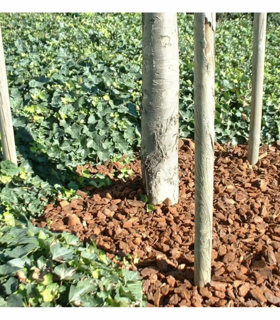 RACINE - Paillage végétal biodégradable écorces de pin maritime, sac 50 l - kom37