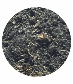 RACINE - Terreau sans tourbe prêt à l'emploi, 57 sacs de 40 l - kom27-57x40