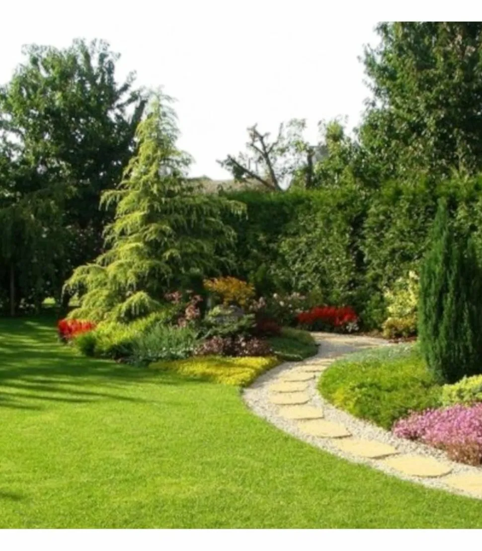 RACINE - Terreau substrat pour regarnissage gazon pour sol sportif 48 sacs 20l - pro447-48x20