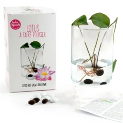 RADIS ET CAPUCINE - Coffret de culture du lotus