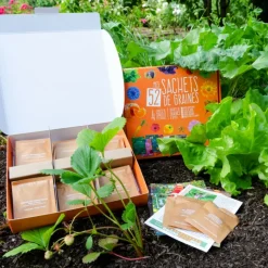 RADIS ET CAPUCINE - Coffret 52 sachets de graines