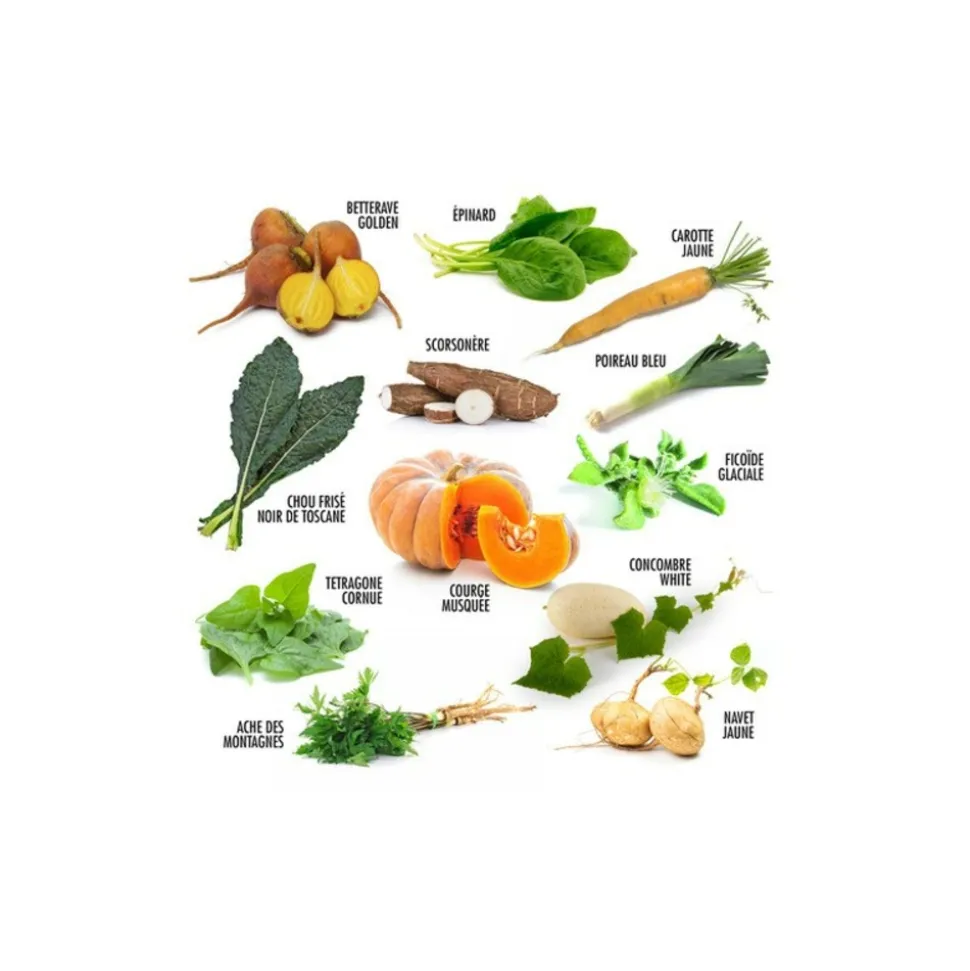 RADIS ET CAPUCINE - Enveloppe de graines anciens à semer (12 variétés)