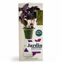 RADIS ET CAPUCINE - Jardin autonome d'aromates pour faire pousser du basilic pourpre bio