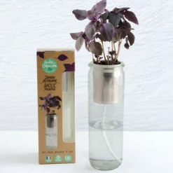 RADIS ET CAPUCINE - Jardin autonome d'aromates pour faire pousser du basilic pourpre bio