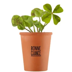 RADIS ET CAPUCINE - Kit Bonne chance Trèfle à 4 feuilles