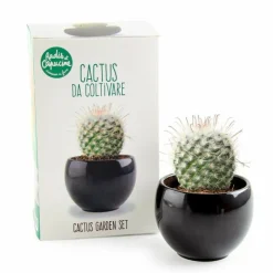 RADIS ET CAPUCINE - Kit cactus