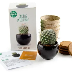 RADIS ET CAPUCINE - Kit cactus