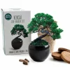 RADIS ET CAPUCINE - Kit de culture bonsaï avec pot