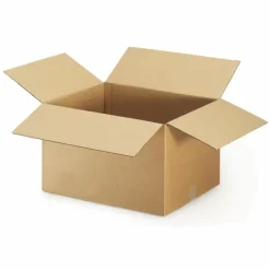 RAJA - 10 cartons d'emballage 20 x 15 x 9 cm - simple cannelure