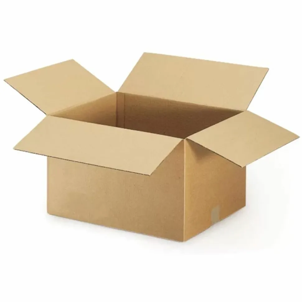 RAJA - 5 cartons d'emballage 20 x 15 x 9 cm - simple cannelure