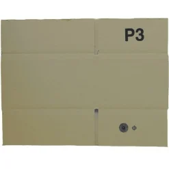 RAJA - Carton d'emballage 20 x 15 x 11 cm