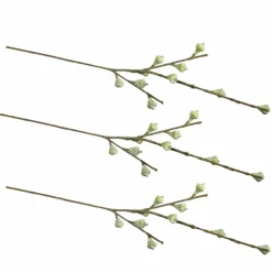 RAYHER - 3 branches de fruits d'eucalyptus 40 cm