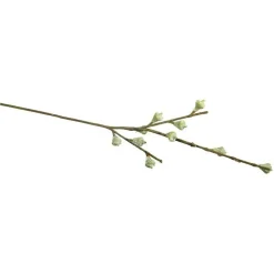 RAYHER - Branche de fruits d'eucalyptus