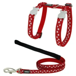 RED DINGO - Harnais pour chat style rouge étoile blanc sangle