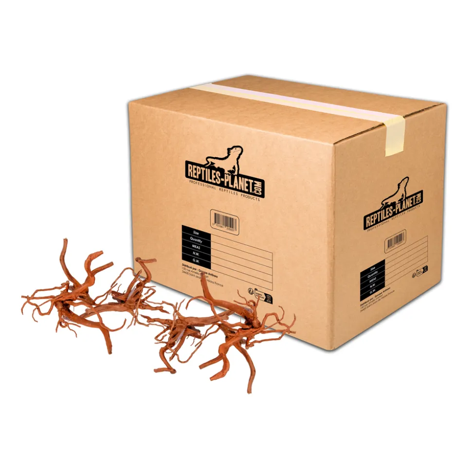 REPTILES PLANET - Racine araignée pour aquarium - Taille S
