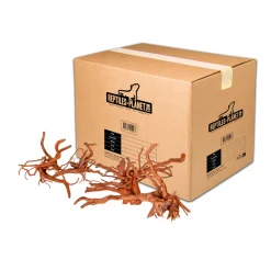 REPTILES PLANET - Racine araignée pour aquarium - Taille M