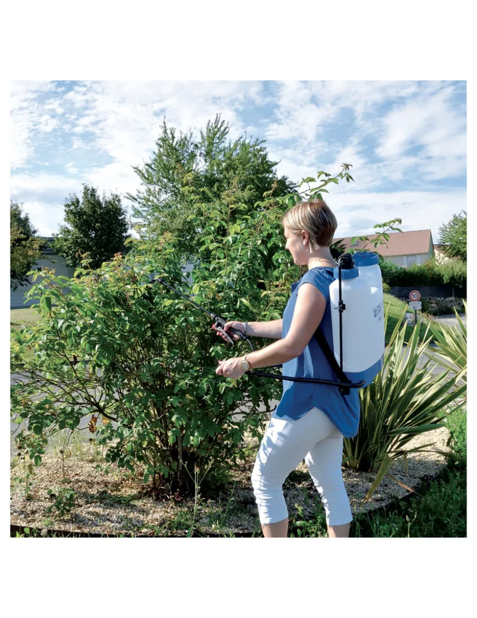 RIBIMEX - Ribiland pulvérisateur à pression préalable 12l - prp119d