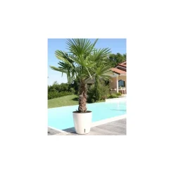 RIVIERA - Bac à fleurs rond - plastique ø 36 cm - bleu