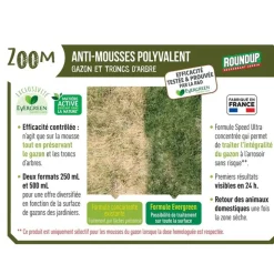 ROUNDUP - Roundup anti-mousses concentré gazon et troncs d'arbres 250 ml ( rmouss250 )