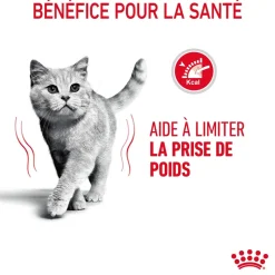 ROYAL CANIN - Croquettes chat Adulte limite prise de poids Light Weight 3kg