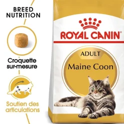 ROYAL CANIN - Croquettes chat Maine Coon Adulte à partir de 15 mois 4kg