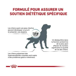 ROYAL CANIN - Croquettes chien veterinary dog skin care - royal canin 2 kg