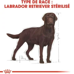 ROYAL CANIN - Croquettes chien Labrador Sterilised plus de 15 mois 12kg