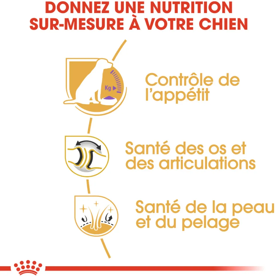 ROYAL CANIN - Croquettes chien Labrador Sterilised plus de 15 mois 12kg