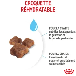 ROYAL CANIN - Croquettes chaton de 0 à 4 mois et chatte Mother&Babycat 2kg