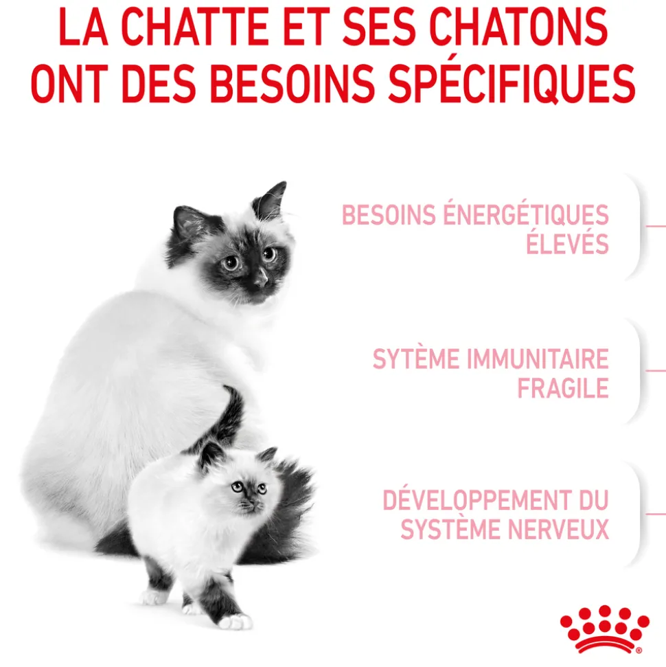 ROYAL CANIN - Croquettes chaton de 0 à 4 mois et chatte Mother&Babycat 2kg