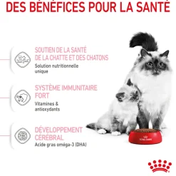 ROYAL CANIN - Croquettes chaton de 0 à 4 mois et chatte Mother&Babycat 2kg