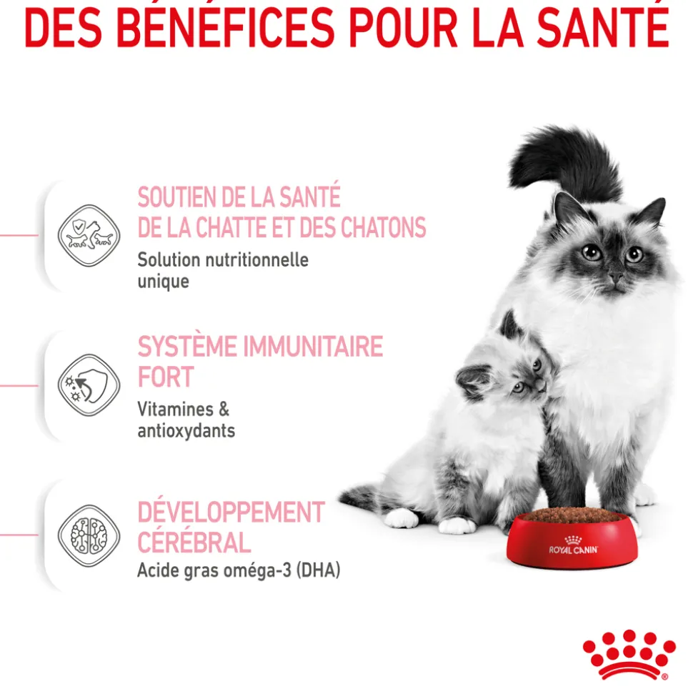 ROYAL CANIN - Croquettes chaton de 0 à 4 mois et chatte Mother&Babycat 2kg