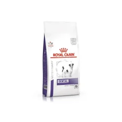 ROYAL CANIN - Croquettes chien veterinary dog dental special small - royal canin 1,5 kg