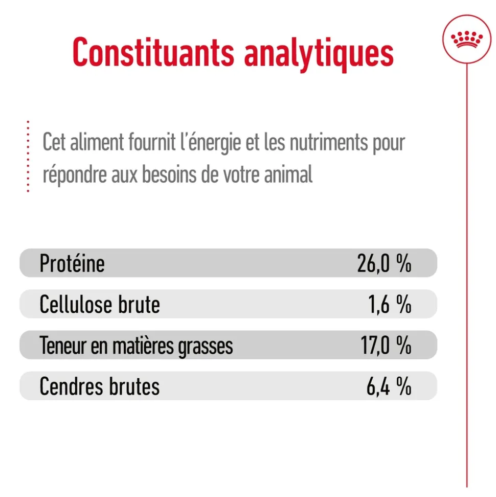 ROYAL CANIN - Croquettes chien grande taille de + 5 ans Maxi Adult 5+ 15kg