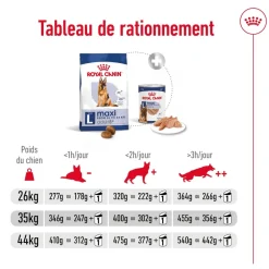 ROYAL CANIN - Croquettes chien grande taille de + 5 ans Maxi Adult 5+ 15kg