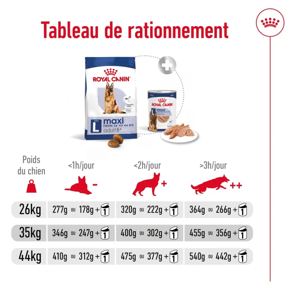 ROYAL CANIN - Croquettes chien grande taille de + 5 ans Maxi Adult 5+ 15kg