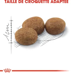 ROYAL CANIN - Croquettes chat Adulte stérilisé de 1 à 7 ans Sterilised 4kg