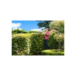 RYOBI - Taille haies hybride ryobi 18v one+ - 1 batterie 2.5ah - 1 chargeur - rht1850h25hs