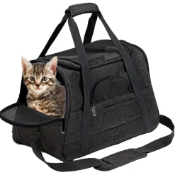 Sac à dos de chat portable et respirant pour sorties noir petit downypaws