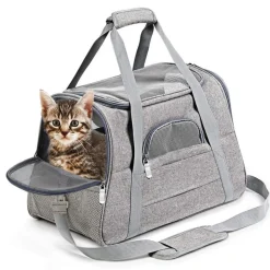 Sac à dos de chat portable et respirant pour sorties petit downypaws