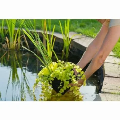 Sac de plantation pour plante aquatique - rond - s