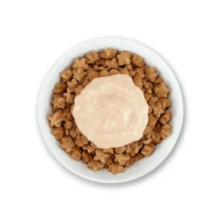 SCHESIR - Friandises stix saumon - schesir chat 6x15 g