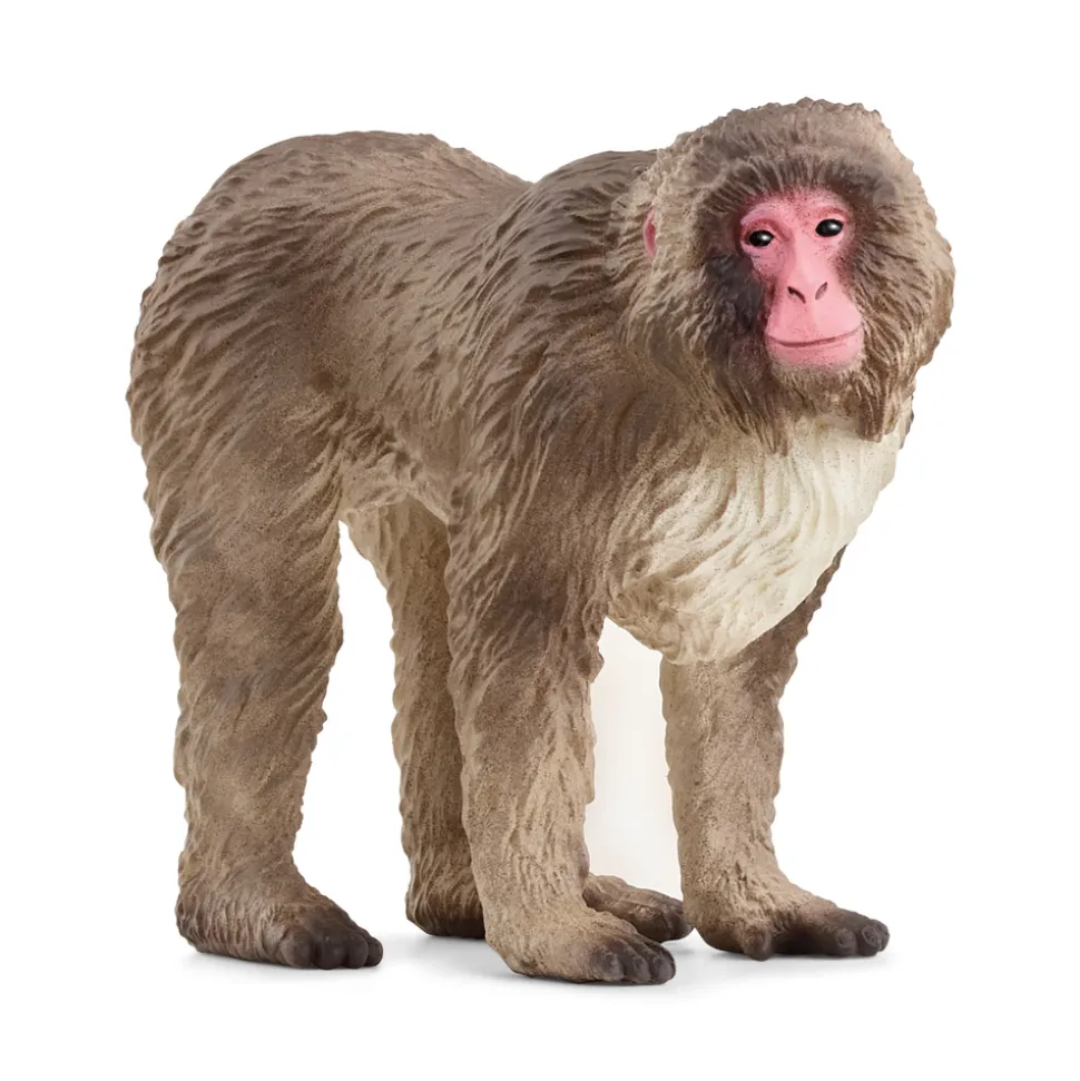 SCHLEICH - Figurine en plastique Macaque japonais L. 6.9 l. 3.1 H. 5.5cm