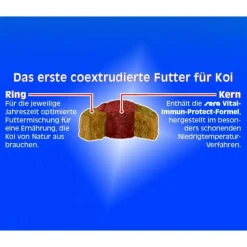 SERA - Printemps/ automne 1 kg sera koi professional aliment composé